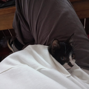 中国艳妇裸体欣赏
